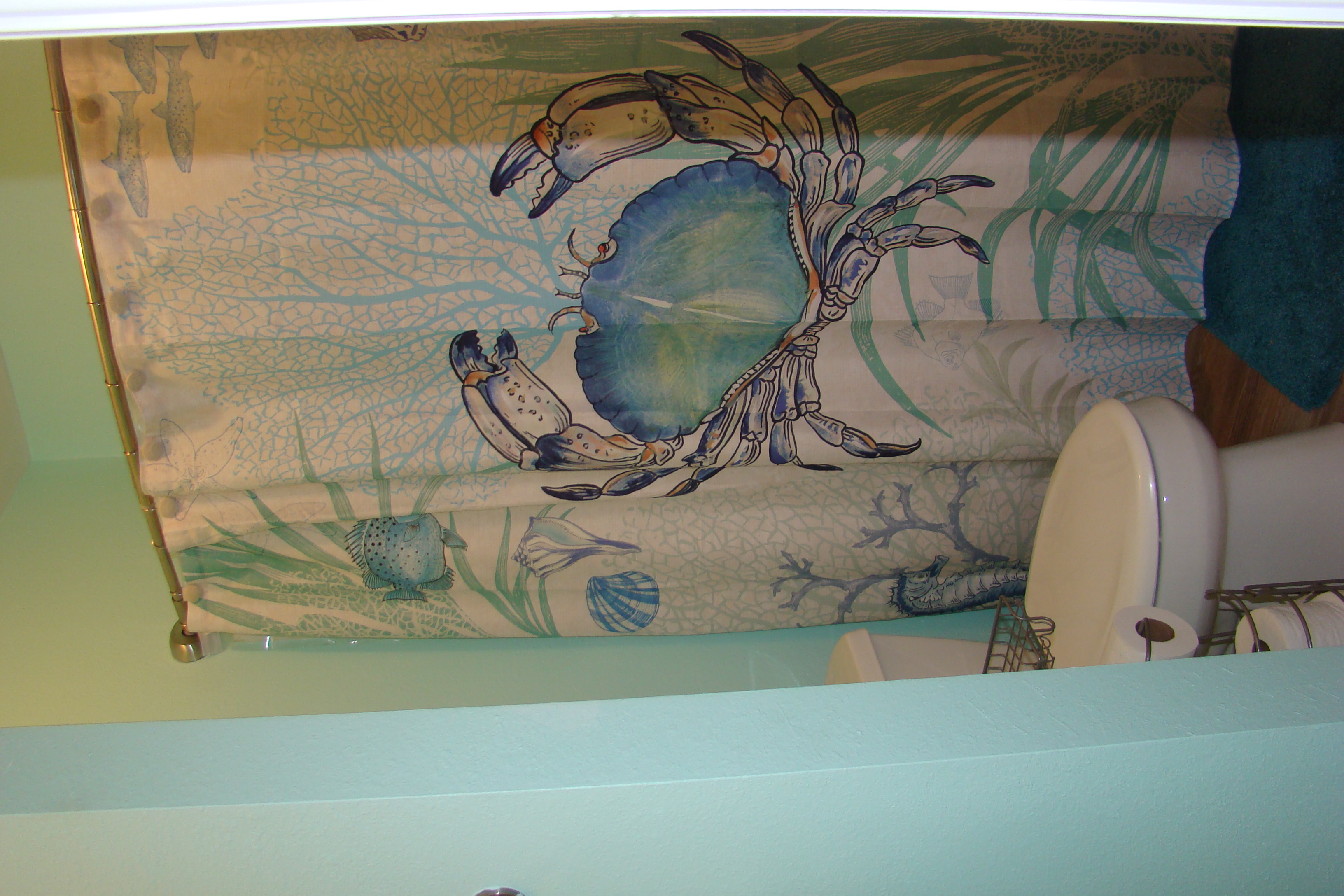 bathroom view - Florida Vacation Rentals - Horseshoe Beach Real Estate - Tammy Bryan